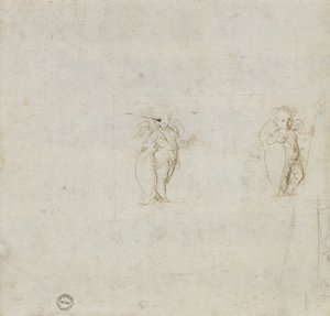 Two Studies of Amorini